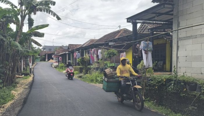 Sentuhan BKKD Rp 1,3 Miliar Ubah Wajah Desa Kesongo Kedungadem, Akses Mulus Angkat Harga Panen dan Putus Rantai Keterisolasian