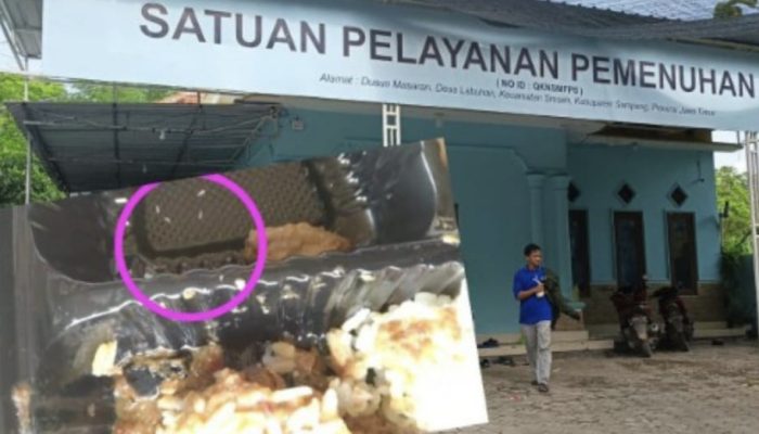 Prabowo di Minta Turun Tangan: Ulat Ditemukan Pada Menu MBG