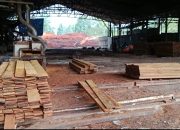 Masyarakat OAP Diduga Dihianati Oleh CV ALCO Timber Irian, Ketua LMA Mimate Bicara.