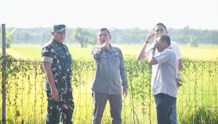 Danrem Untoro Dorong Peningkatan Produktivitas, Dukung Ngawi Jadi Lumbung Padi Nasional