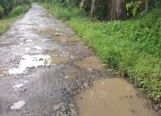 Pemerintah Desa Lamban Dalam Penanganan, Jalan Poros Karanganyar Sowmil Rusak Parah