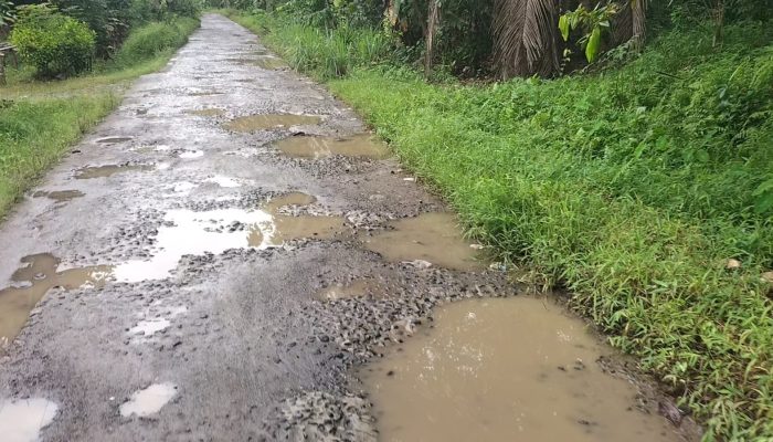 Pemerintah Desa Lamban Dalam Penanganan, Jalan Poros Karanganyar Sowmil Rusak Parah