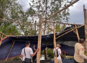 Polsek Krembung Bongkar Arena Sabung Ayam di Lahan Persawahan Desa Ploso