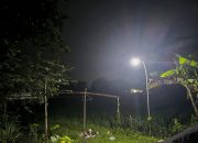 IMG 20260104