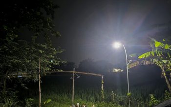 IMG 20260104