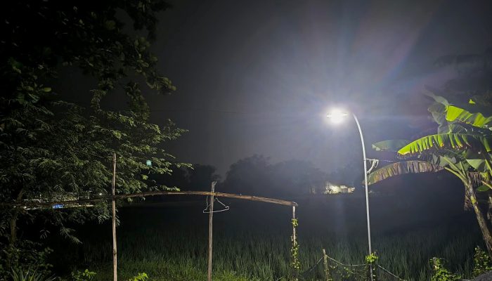Harmoni Hujan di Pedesaan Bojonegoro: Berkah bagi Petani, Ketenangan bagi Warga