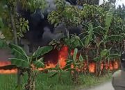 Kantor Proyek Irigasi di Balen Bojonegoro Ludes Terbakar, Api Diduga Berasal dari Gudang Solar