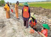 ​Dongkrak Produktivitas Pertanian, Pemkab Bojonegoro Perluas Jaringan Irigasi di 108 Desa