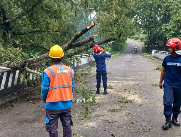 9vlXhGB7OZl1zfu8 copy 600x453