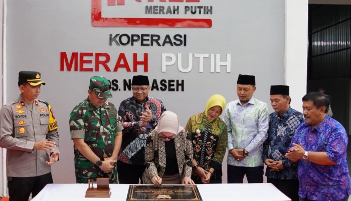 Letkol Inf Dedy dampingi Wamenkop RI Resmikan KDKMP Desa Ngraseh