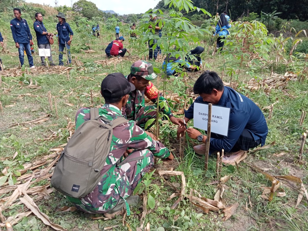 IMG 20260212 WA0122 copy 1040x780