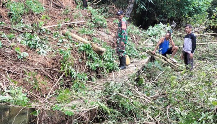Talud Sungai Ngegong Ambrol Diguyur Hujan Deras, Warga Jatiprahu Trenggalek Siaga Bencana