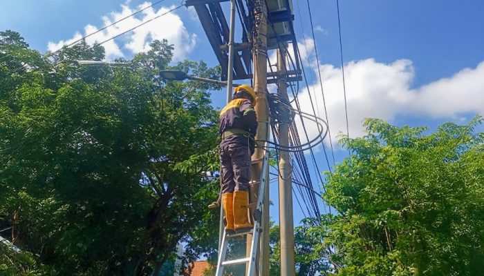 Langkah Preventif PLN Icon Plus Jatim, Perkuat Insfrastruktur dan Estetika Aset Ketenagalistrikan dan Konektivitas di Bojonegoro