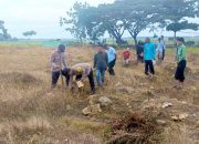 Dukung Asta Cita Presiden, Polsek Sumberrejo dan Pemdes Sendangagung Gelar Tanam Jagung Serentak