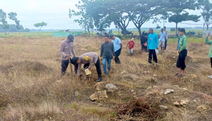 Dukung Asta Cita Presiden, Polsek Sumberrejo dan Pemdes Sendangagung Gelar Tanam Jagung Serentak