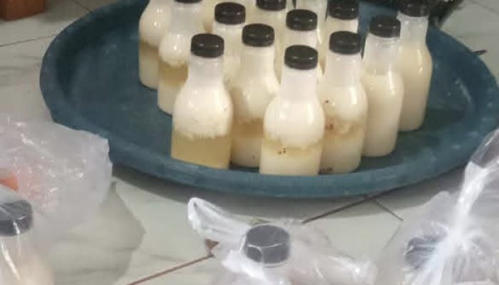 Program Makan Gratis di Rengel Tercoreng: Susu Kedelai Basi Hampir Racuni Siswa