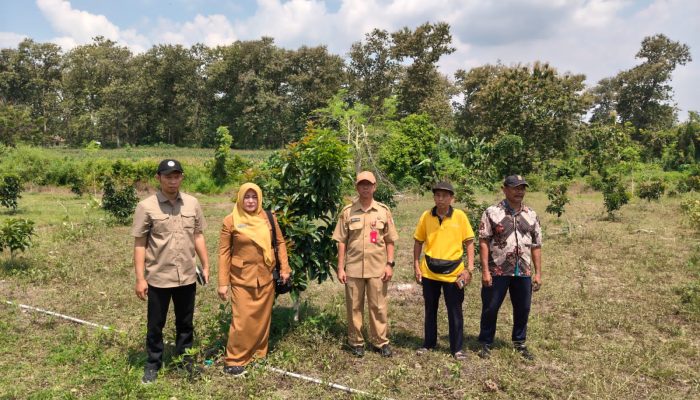 Dorong Ekonomi Petani, DKPP Bojonegoro Salurkan 1.660 Bibit Alpukat di Wilayah Selatan