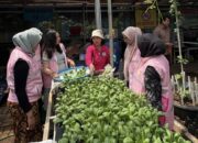 Tularkan Semangat Hari Kartini, PLN Perkuat Kontribusi Perempuan Lewat Srikandi Movement