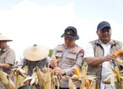 Komitmen Perkuat Ketahanan Pangan, Polres Bojonegoro Gelar Panen Raya Jagung Serentak Kuartal II