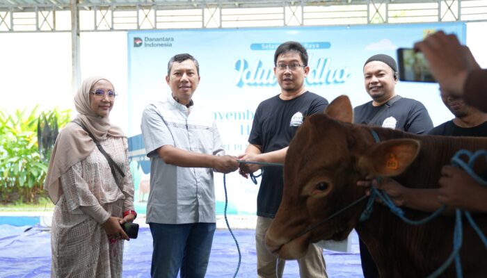 Semangat Berbagi Iduladha 1447 H, PLN UIP JBTB Salurkan Belasan Hewan Kurban untuk Masyarakat