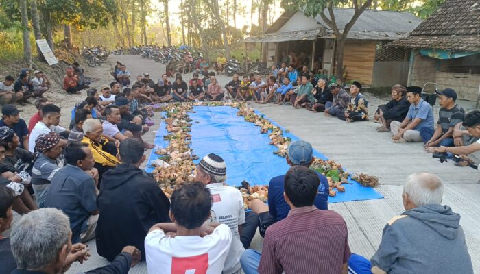 Unik dan Sakral, Intip Tradisi Gumbregan Sedulur Sikep Margomulyo