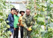 Revolusi Hijau dari Ngawi, Danrem 081/DSJ Puji Inovasi Kebun Melon Green House Garapan Petani Milenial