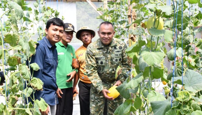 Revolusi Hijau dari Ngawi, Danrem 081/DSJ Puji Inovasi Kebun Melon Green House Garapan Petani Milenial