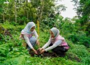 Srikandi PLN Icon Plus Jatim Peduli Lingkungan, Tanam 200 Bibit Pohon di Kaki Gunung Arjuno-Welirang