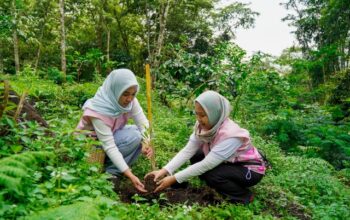 Srikandi PLN Icon Plus Jatim Peduli Lingkungan, Tanam 200 Bibit Pohon di Kaki Gunung Arjuno-Welirang
