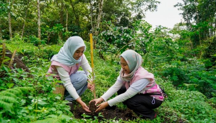 Srikandi PLN Icon Plus Jatim Peduli Lingkungan, Tanam 200 Bibit Pohon di Kaki Gunung Arjuno-Welirang