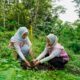 IMG 20260626 WA0013