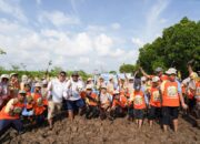 PLN Icon Plus Kenalkan Pelestarian Pesisir kepada Generasi Muda melalui Penanaman Mangrove