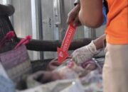 Geger, Jasad Bayi Laki-laki dalam Tas Ditemukan di Warung Pinggir Jalan Rengel Tuban