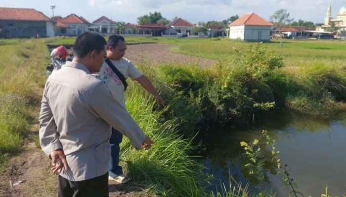 Tragedi Mencekam di Sreseh: Tiga Balita Bersaudara Tewas Tenggelam di Sumur Embung