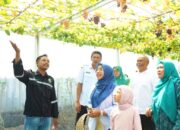 Cantika Wahono Puji Kolaborasi BSMKH dan PEPC yang Sukses Hadirkan Destinasi Petik Anggur Internasional