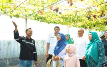 Cantika Wahono Puji Kolaborasi BSMKH dan PEPC yang Sukses Hadirkan Destinasi Petik Anggur Internasional