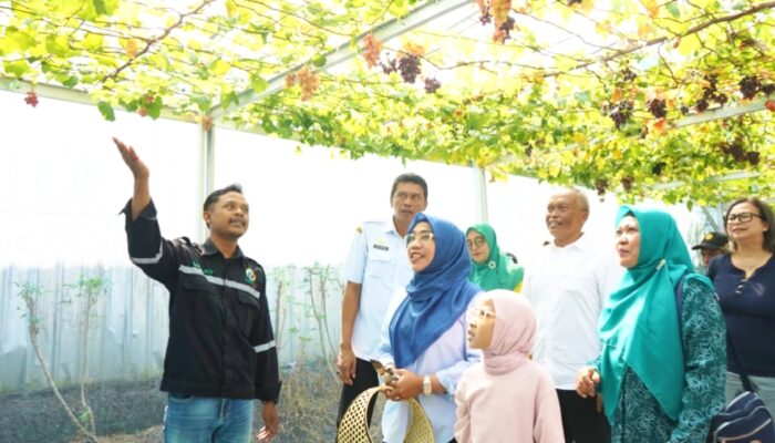 Cantika Wahono Puji Kolaborasi BSMKH dan PEPC yang Sukses Hadirkan Destinasi Petik Anggur Internasional