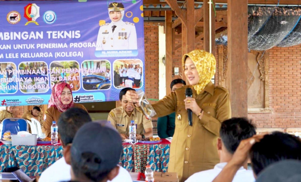 IMG 20260714 WA0206
