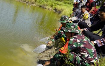 Perkuat Pangan Perbatasan, 11 Ribu Benih Ikan Nila dan Tawes Ditebar di Embung TMMD 129