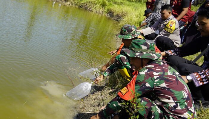 Perkuat Pangan Perbatasan, 11 Ribu Benih Ikan Nila dan Tawes Ditebar di Embung TMMD 129