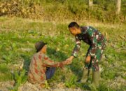 Menyapa dengan Hati di Tengah Ladang: Satgas TMMD 129 Bojonegoro Rajut Kemanunggalan TNI dan Rakyat