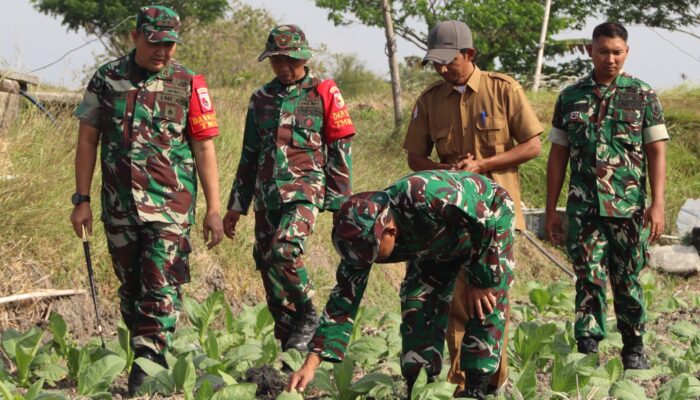 TMMD 129 Bojonegoro: Setitik Air, Harapan Baru Petani Tembakau Kesongo