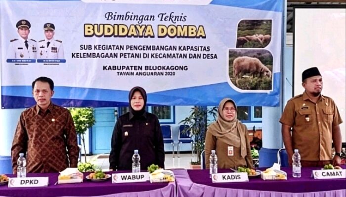 Perkuat Ekonomi Warga Baureno, Pemkab dan Komisi B DPRD Bojonegoro Kawal Program Bantuan Domba