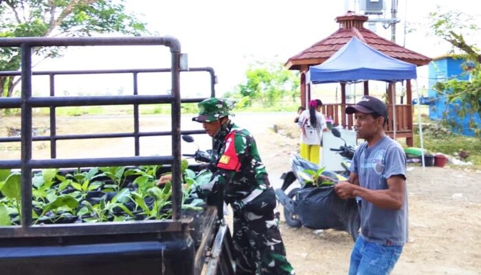 Satgas TMMD 129 Bojonegoro Pasok Ratusan Bibit Sayuran untuk Warga Kesongo