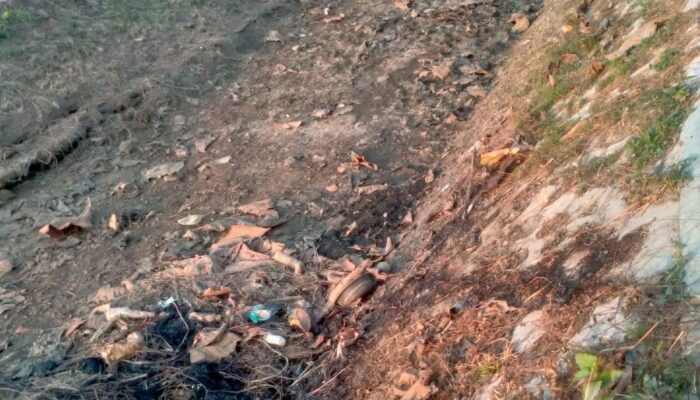 Pemkab Sampang Dinilai Lalai Dukung Ketahanan Pangan, Saluran Irigasi Kering dan Telantar