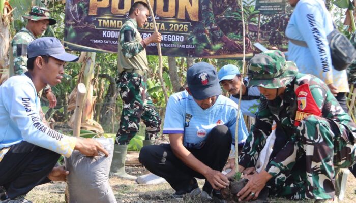 Warisan Hijau TMMD 129 Bojonegoro: Menanam Pohon, Merawat Masa Depan Desa Kesongo