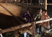 Melampaui Target: TMMD 129 Bojonegoro dan Disnakkan Sentuh Nadi Ekonomi Warga Lewat Layanan Kesehatan Hewan