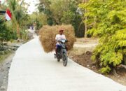 Jalan Baru, Harapan Baru: Asa Petani Dusun Mundu Mengangkut Rezeki Lewat TMMD 129 Bojonegoro