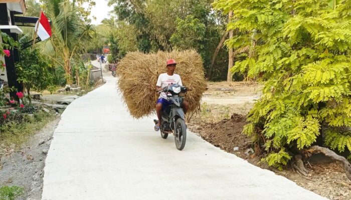 Jalan Baru, Harapan Baru: Asa Petani Dusun Mundu Mengangkut Rezeki Lewat TMMD 129 Bojonegoro