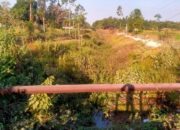 IMG 20260810 WA0104